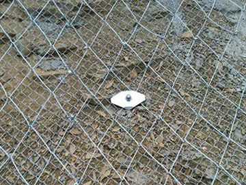 1669792143191346.jpg 1609898861190885.jpg